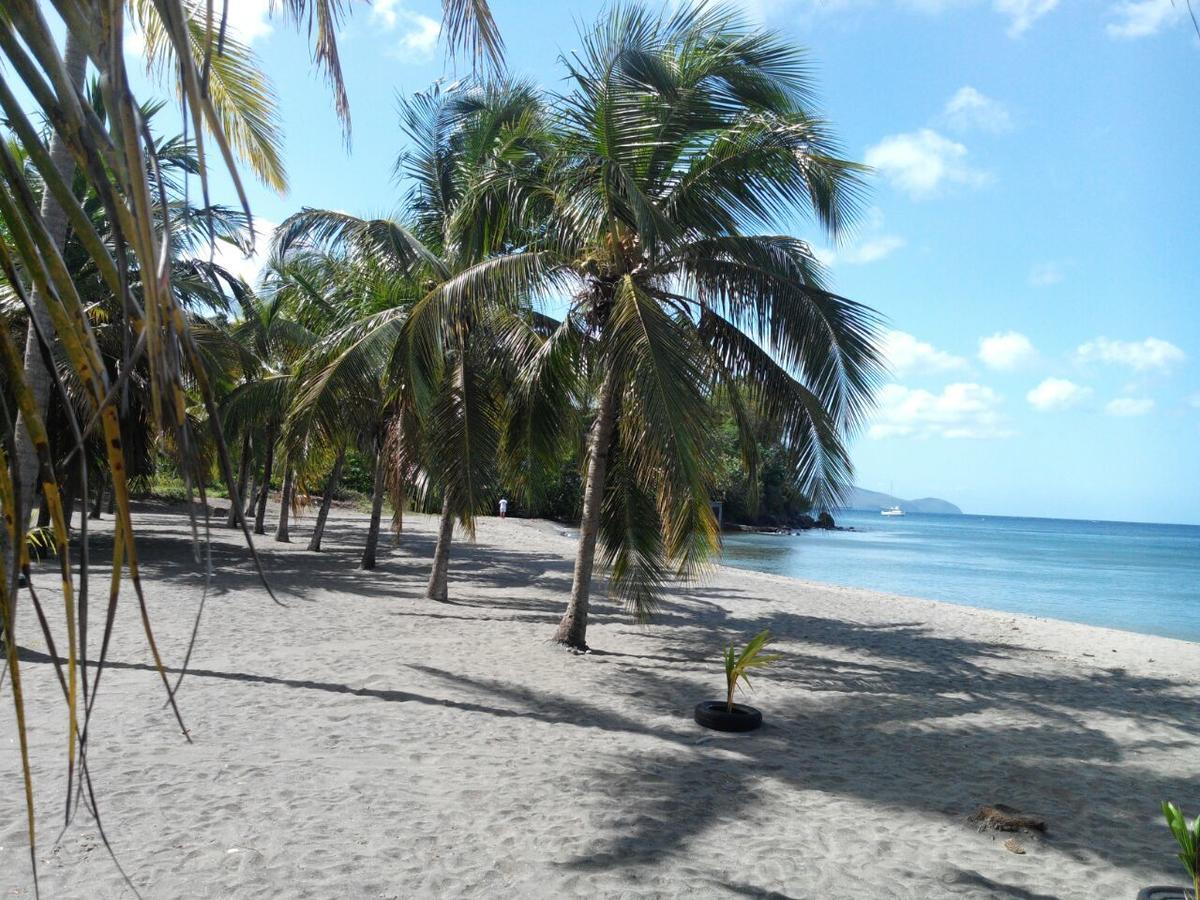 Madiana Plage Schoelcher Exterior photo