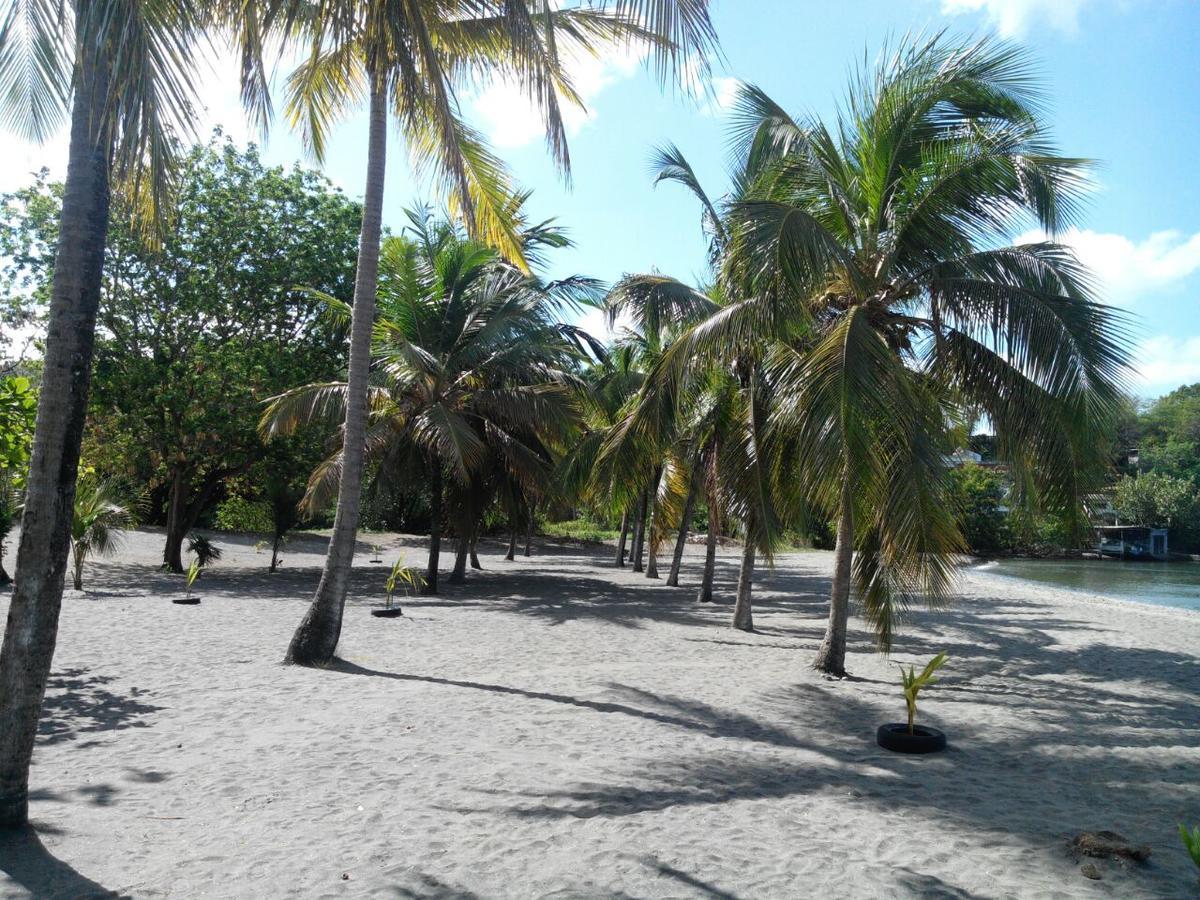 Madiana Plage Schoelcher Exterior photo